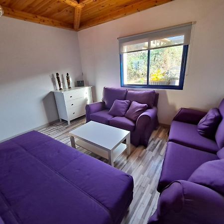 Tenerife Apartment 100M2 Casa De Don Quijote With A Terrace Of 100M2 With A View Of The Ocean And Teide Volcano And A Garden Of 600M2 Icod De Los Vinos Zewnętrze zdjęcie
