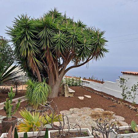 Tenerife Apartment 100M2 Casa De Don Quijote With A Terrace Of 100M2 With A View Of The Ocean And Teide Volcano And A Garden Of 600M2 Icod De Los Vinos Zewnętrze zdjęcie