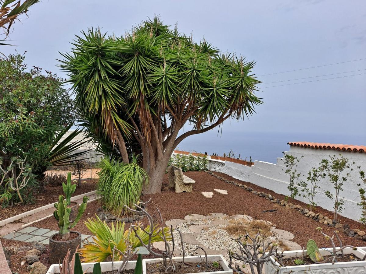 Tenerife Apartment 100M2 Casa De Don Quijote With A Terrace Of 100M2 With A View Of The Ocean And Teide Volcano And A Garden Of 600M2 Icod De Los Vinos Zewnętrze zdjęcie