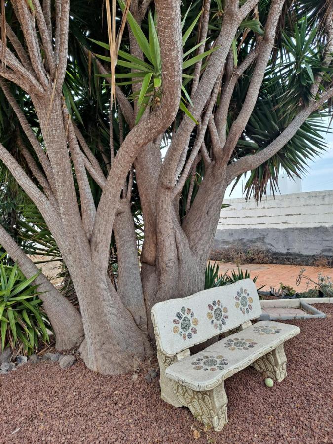 Tenerife Apartment 100M2 Casa De Don Quijote With A Terrace Of 100M2 With A View Of The Ocean And Teide Volcano And A Garden Of 600M2 Icod De Los Vinos Zewnętrze zdjęcie